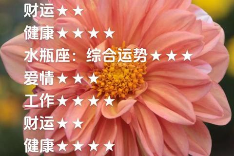 摩羯座今日运势-稳健理财抓契机,沟通防误职场桃花显 摩羯座今日运势-稳健理财抓契机,沟通防误职场桃花显