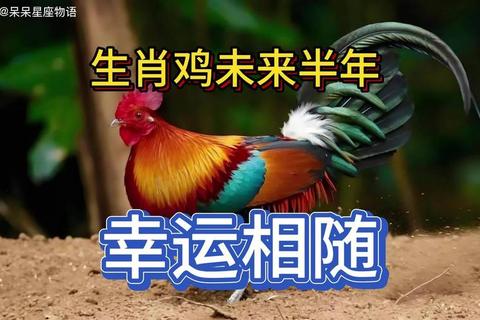 88年属龙鸡年运势:贵人相助财运事业双丰收 88年属龙鸡年运势:贵人相助财运事业双丰收