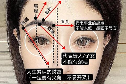 眉相揭秘:从眉毛形状看运势走向_解析眉型与命运关联 眉相揭秘:从眉毛形状看运势走向_解析眉型与命运关联