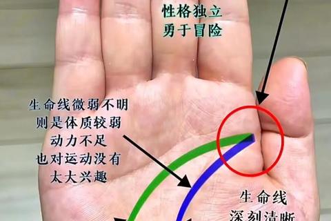 手相揭示人生运势：掌纹奥秘与未来指引