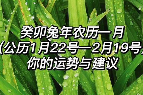兔年六月感情运解析:桃花机遇与情感建议指南 兔年六月感情运解析:桃花机遇与情感建议指南