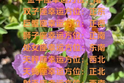 白羊座昨日运势解析：机遇暗藏挑战_积极行动助破局