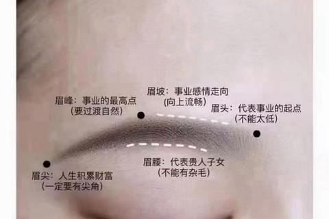 眉相揭秘:从眉毛形状看运势走向_解析眉型与命运关联 眉相揭秘:从眉毛形状看运势走向_解析眉型与命运关联