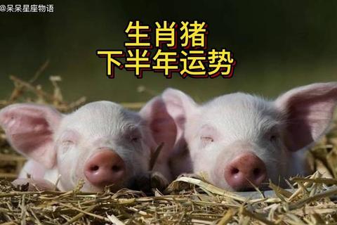 1971年属猪人2017运势_事业财运攀升需慎健康与破财