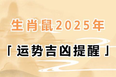 84年属鼠人2025年运势全解析：事业财运健康吉凶预测