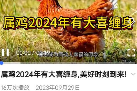 69年属鸡2017运势解析-全年运程吉凶预测及转运建议
