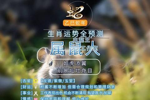 2025属鼠人每月运势解析：吉星助力与健康指引
