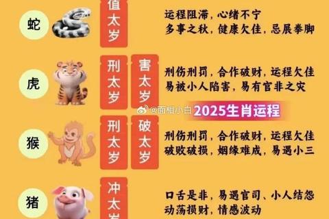 属猪人2025冲太岁运势解析：破局之道与吉星助力