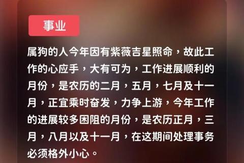 生肖狗2013年运势解析:财运事业健康运程全预测 生肖狗2013年运势解析:财运事业健康运程全预测