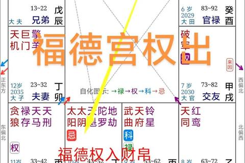 对宫运势解析_命盘关联与未来趋势深度解读 对宫运势解析_命盘关联与未来趋势深度解读