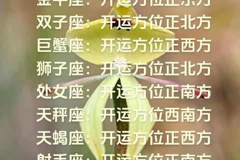 6月5日星象导航_十二星座运势解析与关键指引 6月5日星象导航_十二星座运势解析与关键指引