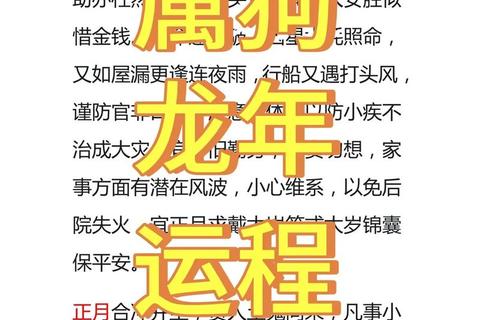 1982年属狗2025运势详解_十年大运与贵人运程全解析