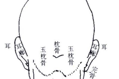 骨骼与命运解码：从骨相透视人生运势走向