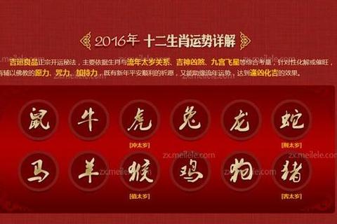 鸡年马人运程_逐月运势详解与开运指南