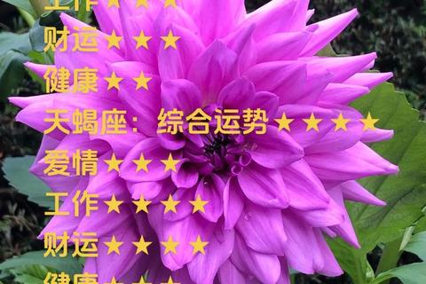 天秤座今日运势_创意伴惊喜，幸运数字6与9