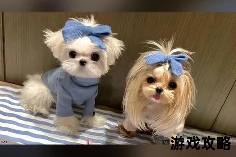 萌宠星球新体验_宠物球饲养全攻略与新手入门指南