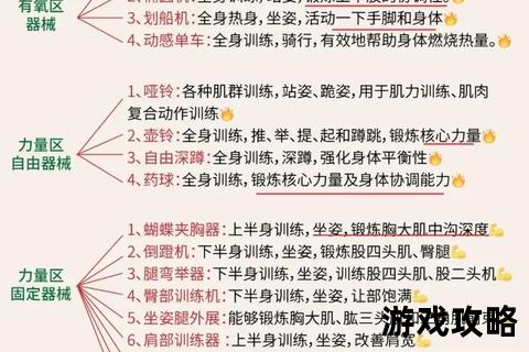 健身房新手攻略-高效训练技巧与避坑指南全解析 健身房新手攻略-高效训练技巧与避坑指南全解析