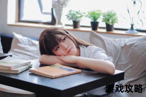 绝对领域制霸全攻略_核心区域解析与实战技巧精要