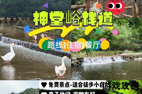 大神堂深度游攻略-探秘路线规划_必访景点与地道美食全指南 大神堂深度游攻略-探秘路线规划_必访景点与地道美食全指南