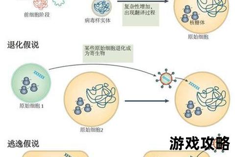病毒普通难度速通指南-基因搭配与传播流高效攻略