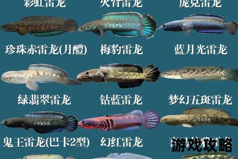 雷龙全面攻略-技能解析与实战进阶技巧指南