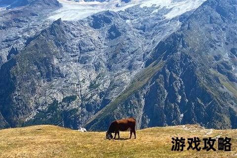 阿尔卑斯山自由行攻略-经典徒步路线与四季摄影圣地推荐