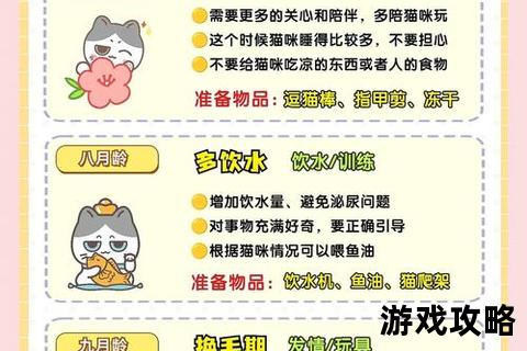 宠物派攻略：萌宠饲养全指南与日常护理实用技巧