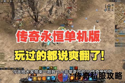 永恒传奇私服狂野重启无限热血激战再临巅峰不朽 永恒传奇私服狂野重启无限热血激战再临巅峰不朽