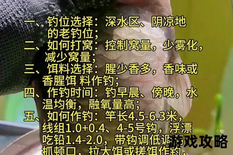 钓鱼发烧友攻略_从入门到精通的垂钓技巧与装备全解析
