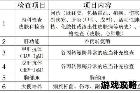 TOV攻略全流程详解_从入门到精通必备技巧指南
