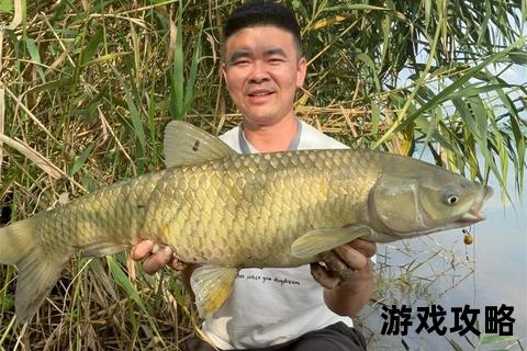 鲤鱼全攻略:养殖技巧_垂钓秘籍_烹饪方法全解析 鲤鱼全攻略:养殖技巧_垂钓秘籍_烹饪方法全解析