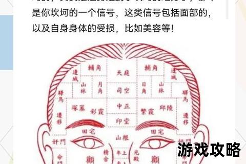 观相攻略：揭秘面相识人技巧与实战应用解析