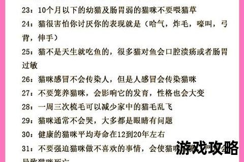 猫咪日常养护全攻略：饮食、健康与行为训练实用指南