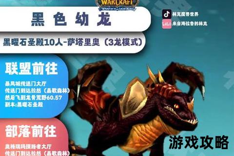 单刷坐骑全攻略-独狼玩家高效路线与必掉技巧解析 单刷坐骑全攻略-独狼玩家高效路线与必掉技巧解析