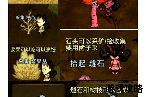 饥荒生存指南:视频攻略详解资源获取与基地建设技巧