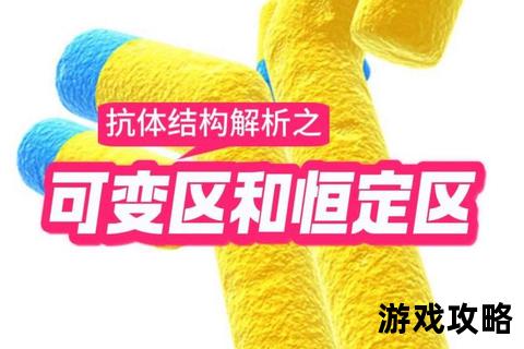 抗体攻略：高效生成与优化策略_从基础到实战全解析
