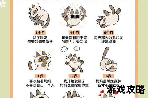 萌宠养成指南:他的猫驯养技巧与情感培养全攻略