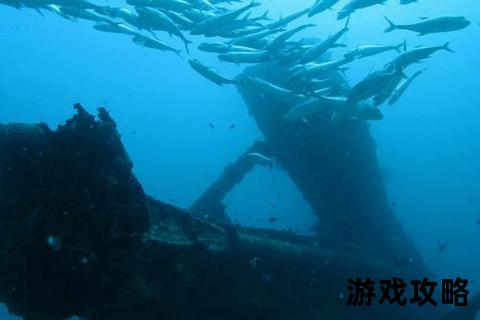 废弃船探险指南：沉船寻宝与生存攻略全解析