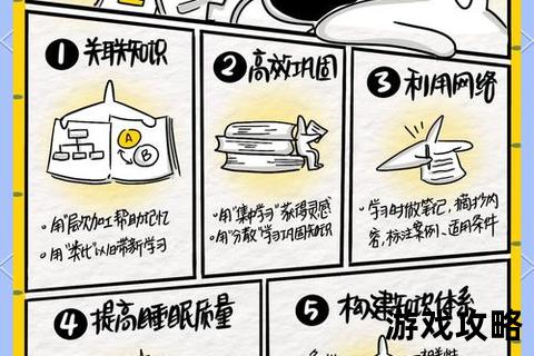 5本攻略秘籍：核心技巧解析与高效应用指南