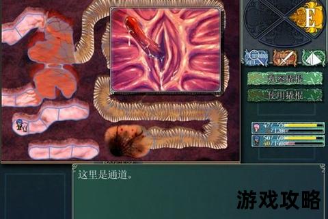 兰斯2重制版全流程攻略指南：隐藏要素_任务路线及结局解锁解析