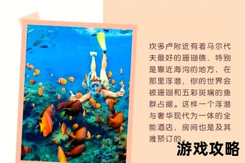 美丽水世界终极攻略：探索神秘海域与生存进阶指南