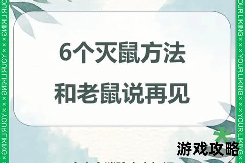美味餐厅12招灭鼠攻略：高效驱鼠_守护厨房卫生