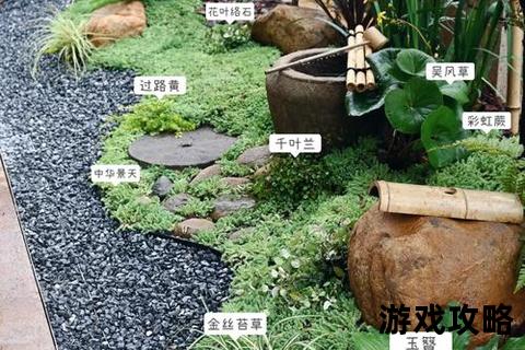 花园打造全攻略：从设计到养护的10个实用技巧指南