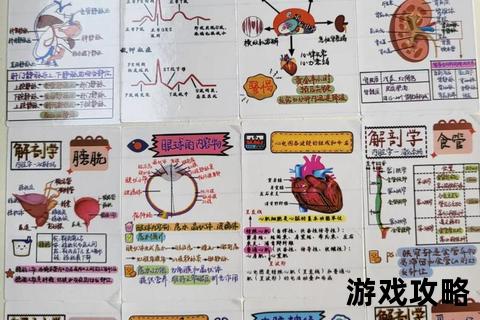 记忆碎片重拾指南：失忆症患者自救与复原全攻略