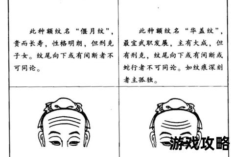 观相攻略：揭秘面相识人技巧与实战应用解析