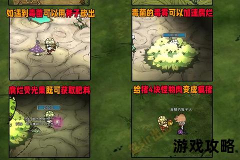 荒岛求生2通关全攻略：合成表与生存技巧详解