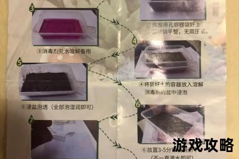 播种攻略:从选种到育苗的高效种植技巧全解 播种攻略:从选种到育苗的高效种植技巧全解