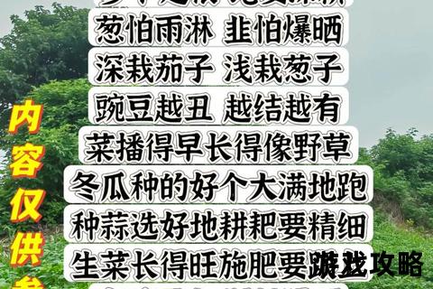 家庭种菜全攻略:从选种到丰收的实用技巧指南 家庭种菜全攻略:从选种到丰收的实用技巧指南