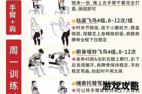 健身房新手攻略-高效训练技巧与避坑指南全解析 健身房新手攻略-高效训练技巧与避坑指南全解析