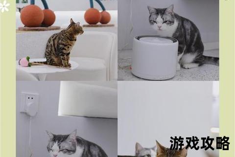 猫咖探店指南_最全撸猫技巧与网红店打卡推荐 猫咖探店指南_最全撸猫技巧与网红店打卡推荐